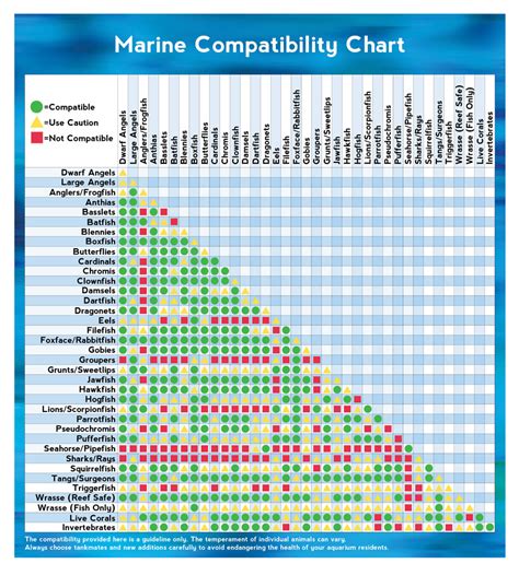 Marine Animal Compatibility Chart Visually