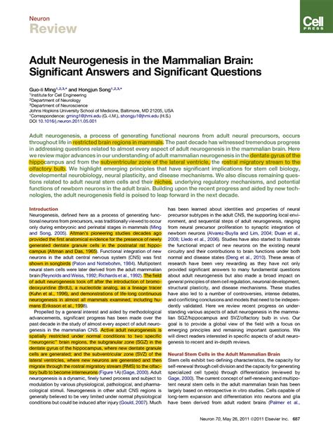 4adult Stem Cells Mod 3 Review Adult Neurogenesis In The Mammalian