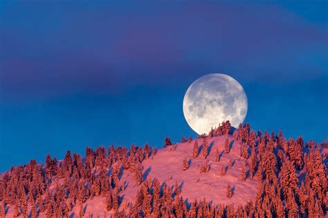 Download Forest Mountain Winter Snow Nature Moon Hd Wallpaper