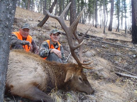 Montana Outfitter Journal Montana Elk Hunt For Gradutaion