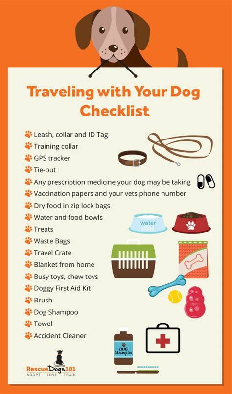 6 Tips For Traveling With Your Dog In The Car