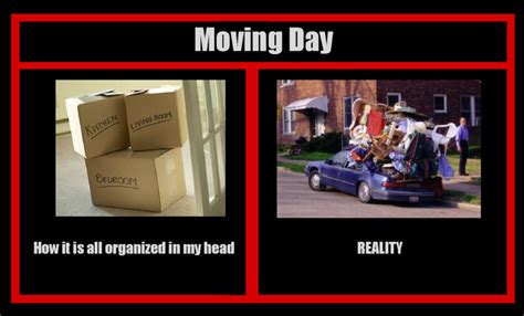 Funny Moving Day Memes For Sanitys Sake Mommy Share Space