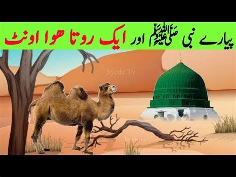 It is a very hot day and the prophet hears the crying of a camel. Rone wala Oont aur Nabi pak || Prophet Muhammad and Crying ...