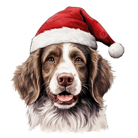 Christmas Dog Christmas Hat Dog Png Transparent Image And Clipart