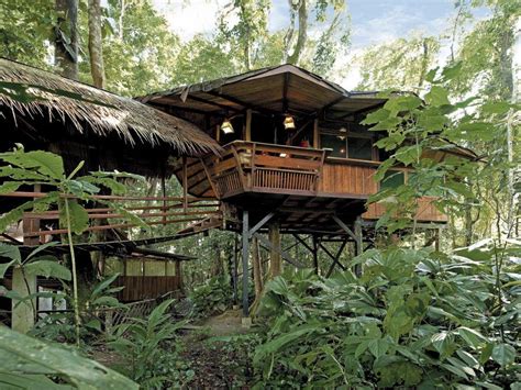 Beach Hotels Outdoor Tree Plant Jungle Rainforest House Hut Outdoor