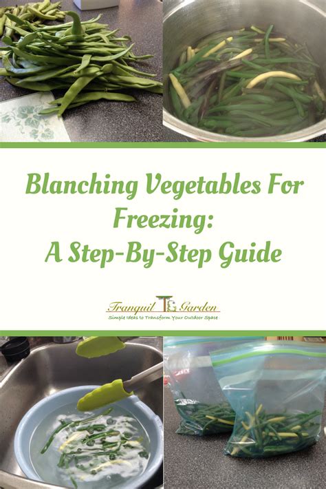 Blanching Vegetables For Freezing A Step By Step Guide Vegetables