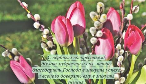 Нехай це світле свято подарує тепло на серці, добрі думки і ясний вітаю з вербною неділею. З Вербною неділею 2020! Листівки, картинки, привітання на ...