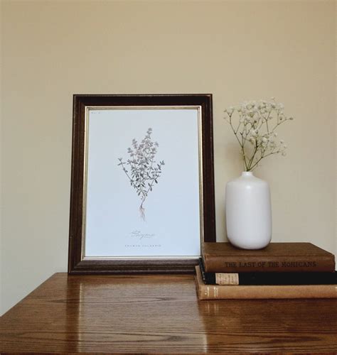 Free Printable Botanical Prints A Daily Something