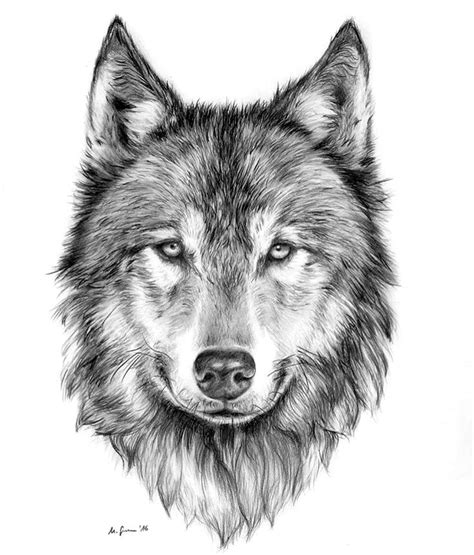 A A A Watercolour Painting And Pen Wolf Original Art Wolf Face Tattoo