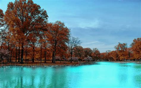 Free Download Hd Wallpaper What Color Trees Cyan Park Nature