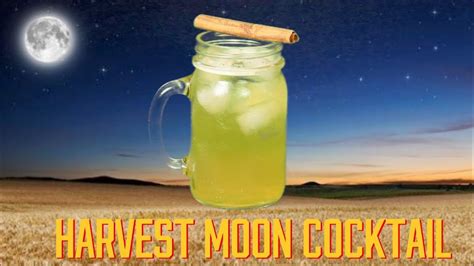 How To Make The Harvest Moon Beer Cocktail Drinks Made Easy Youtube
