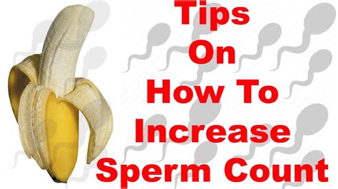 Tips On How To Increase Sperm Count Youtube