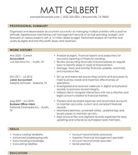 Professional Accountant Resume Examples