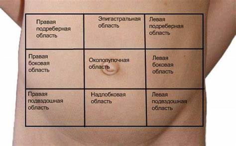 Как похудеть в нижней части живота мужчине