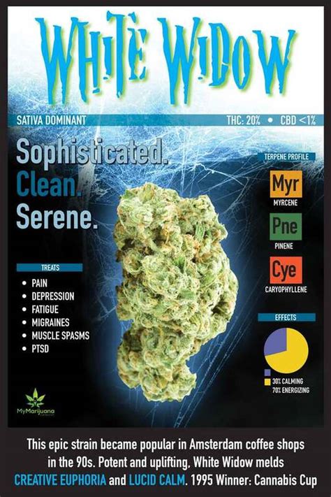 Featured Strain Of The Week White Widow