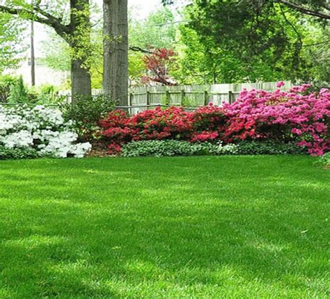 Imglawncarespring Fertilizer Long Hill Tree And Lawn Care