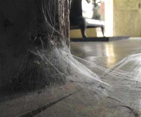 Clara gets upset at nancy. Studio and Garden: The Webs They Weave