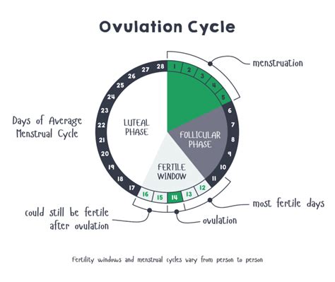 Clue An App For Period Ovulation Tracking Hotdoc