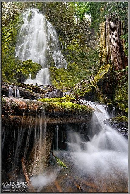 Moon Falls Umpqua National Forest Oregon Oregon Waterfalls