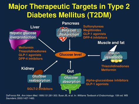 Ppt Emerging Type 2 Diabetes Treatment Novel Therapy Sglt 2