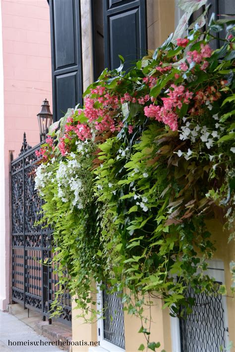 I had the chance to attend a mayesh wholesale flower workshop this past monday and tuesday here in charleston. A Return to Historic Charleston, SC | Charleston gardens ...