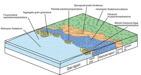 Spatial Distribution Of Depositional Environments Interpreted In The