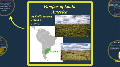 Pampas Of South America By Emily Sweeney On Prezi