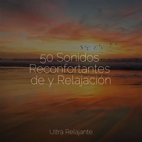 Sonidos Reconfortantes De Y Relajaci N Album By M Sica Zen