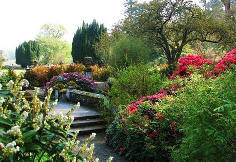 Dawyck Botanic Garden Near Peebles And Hotels Great British Gardens