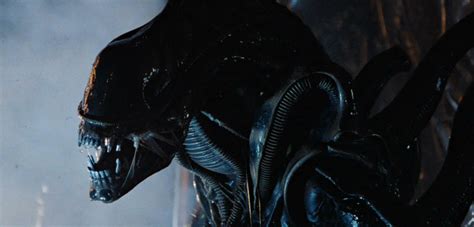 Prometheus 2 Blockiert Neill Blomkamps Alien Sequel