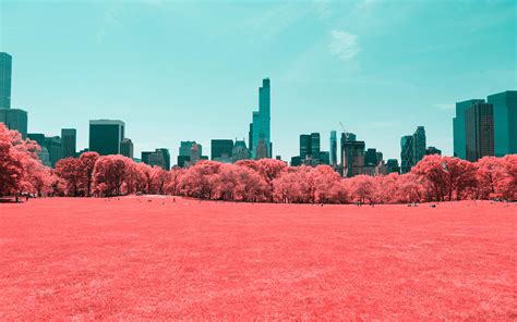 Nyc Central Park Infrared 4k Wallpapers Hd Wallpapers Id 21811