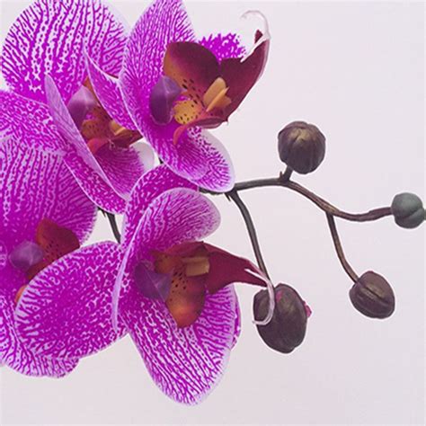 2020 Real Touch Orchid 7 Heads Latex Orchids Fake Phalaenopsis Lighter Purple For Wedding