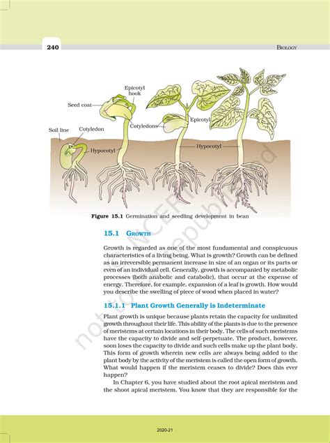 Plant Growth And Development Ncert Book Of Class 11 Biology