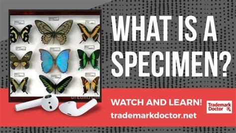 How do trademarks differ from copyrights and trade names? What Is A Specimen | Dallas Texas Trademark Lawyer