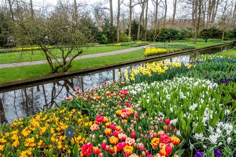 Keukenhof Gardens 10 Tips To See Tulips In 2020