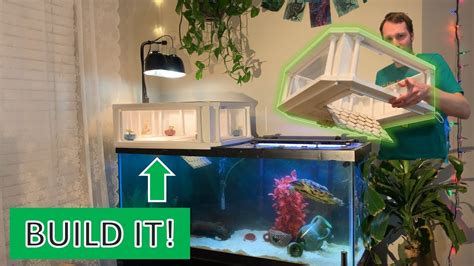 Diy Above Tank Basking Platform For Turtles Grecian Theme Step By