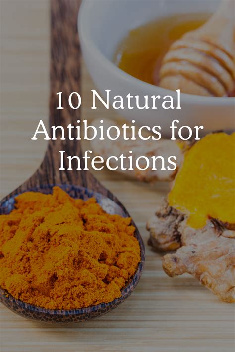 The Ultimate Top 10 Natural Antibiotics For Infections The