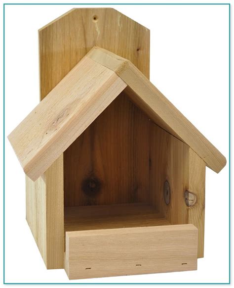 Robin's or cardinals don't like enclosed spaces, . Cardinal Birdhouse Plans Free
