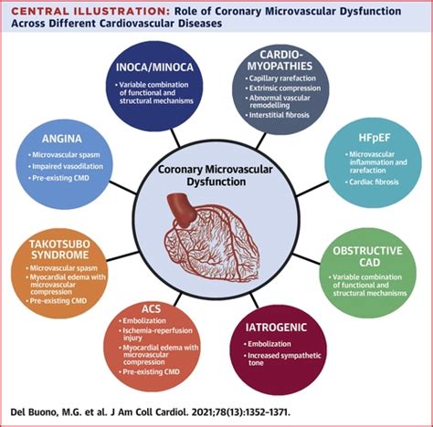 Coronary Microvascular Dysfunction Across The Spectrum Of