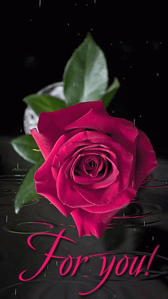 It is all rose flower gif for good morning goodhello friend welcome to my channel athis video is about good moring gif for whatapp f free p. GIFS HERMOSOS: floresencontradas en laweb