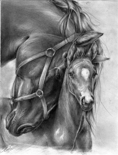 Mum And Foal Pencil Drawings Of Animals Horse Drawings Equine Art