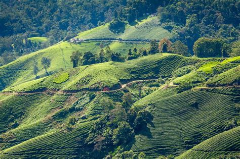 This article contain the explanation of types of land titles in malaysia. Malaysia - Land der Kontraste, NATUR, KULTUR, Foodporn