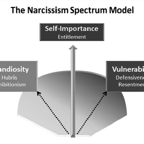 Pdf The Narcissism Spectrum Model A Synthetic View Of Narcissistic