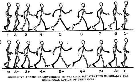 How To Draw And Animate A Person Walking Or Running Huge Guide And Tutorial How To Draw Step