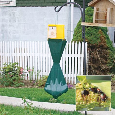 Japanese Beetle Trap Pest Control From Gardens Alive