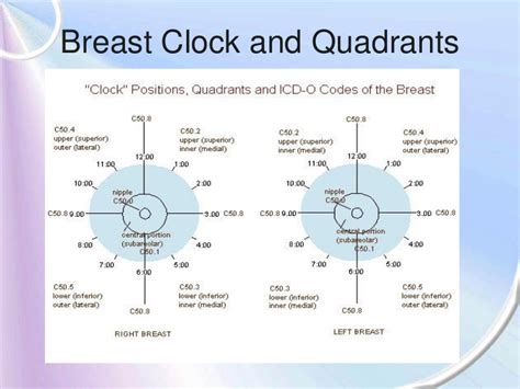 Understanding the anatomy of the breast is important in understanding how it makes milk. Breast disease