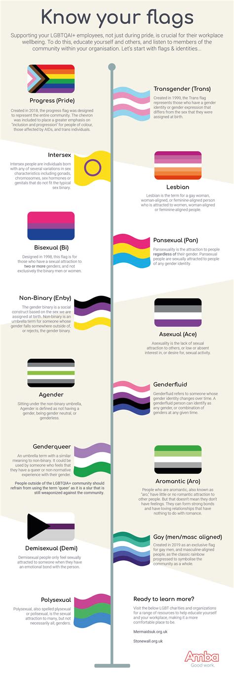 Most Common Pride Flags And Their Meanings Amba People