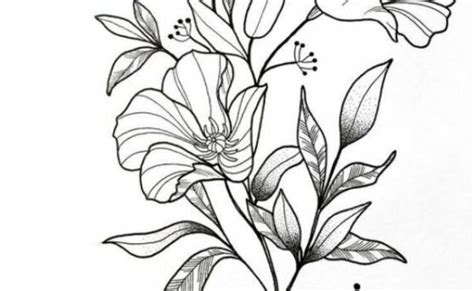 1001 Ideas De Dibujos De Flores Faciles Y Bonitos Flores Faciles De