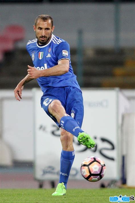 Последние твиты от giorgio chiellini (@chiellini). Cầu thủ bóng đá Giorgio Chiellini