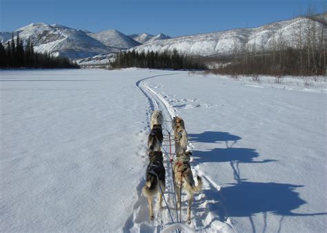Journey Through Untamed Wilderness, Alaska Dogsled – Sierra Club